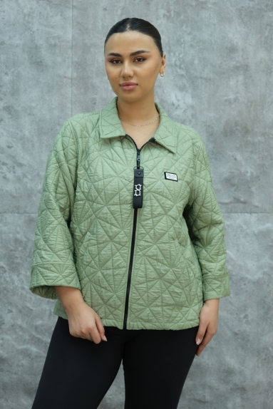  This stylish and comfortable short athletic jacket is designed for plus-size women. The product is green and has a modern style. It is available in sizes 42, 44, 46, and 48. The fabric content is 80% polyester and 20% cotton, making the product both durable and comfortable. The jacket features a front zipper closure and short sleeves, allowing for ease of movement in daily life. It fits your body beautifully and is suitable for all seasons. 