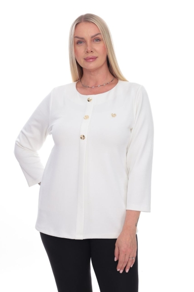wholesaleWomen Clothes Plus Size Blouse